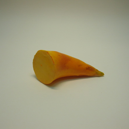 《 食物模型 》竹筍  蔬菜模型 - B2011 