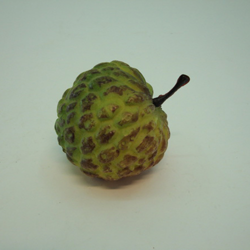 《 食物模型 》釋迦(小)  水果模型- B1056 