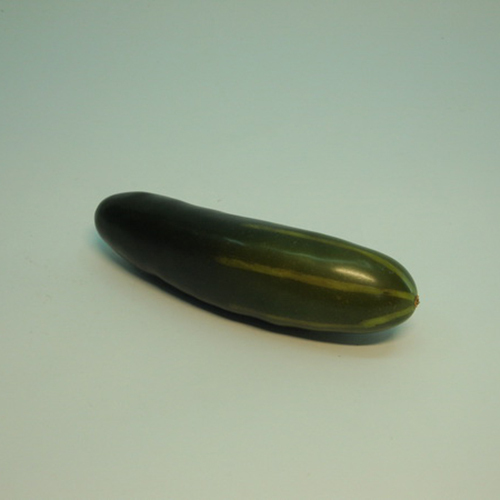 《 食物模型 》POLY小黃瓜(大)