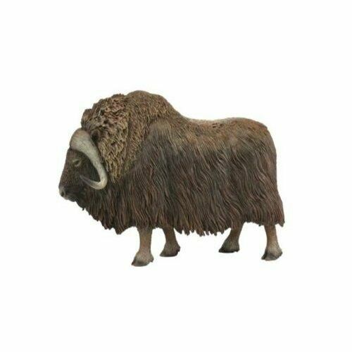 《 COLLECTA 》麝牛