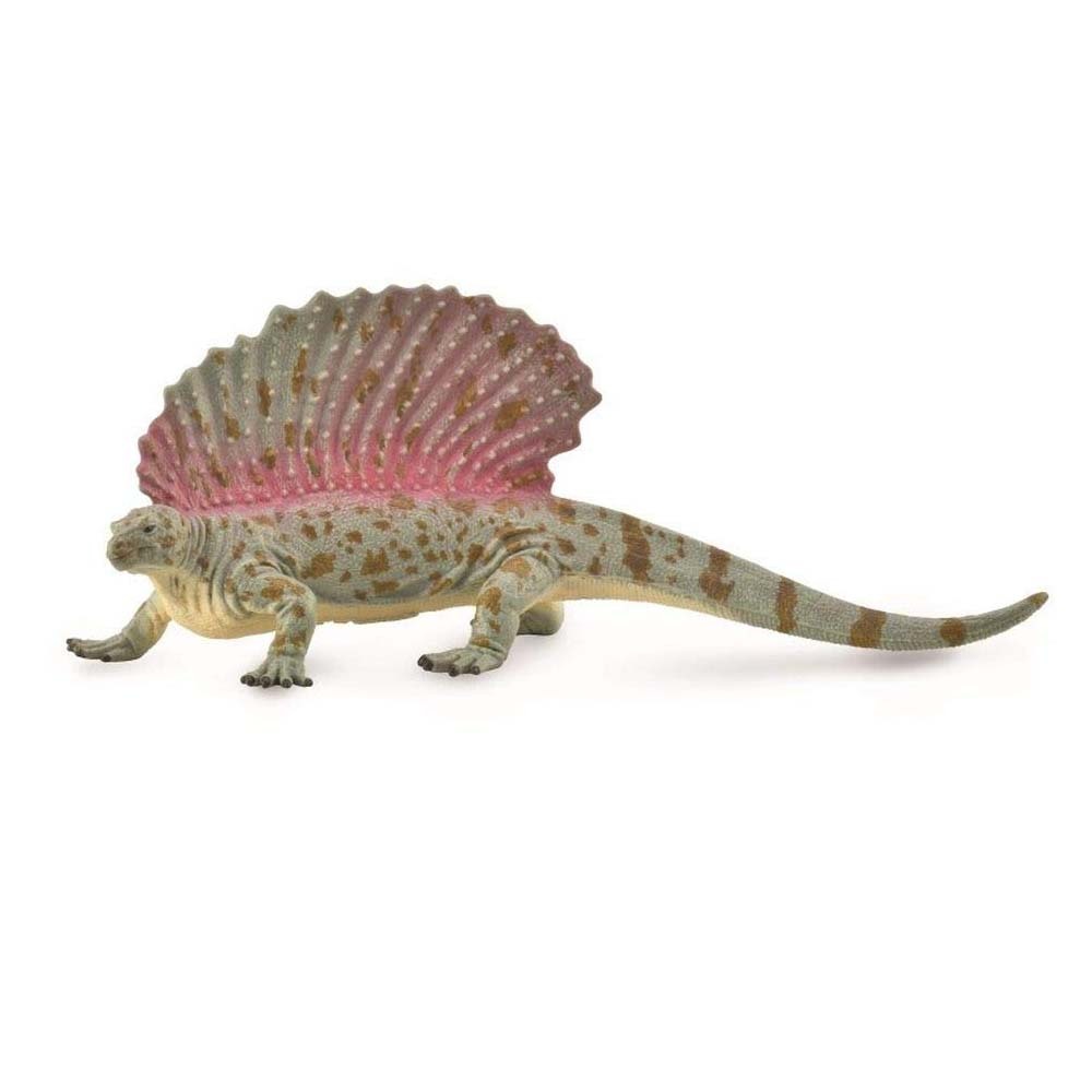 《 COLLECTA 》基龍