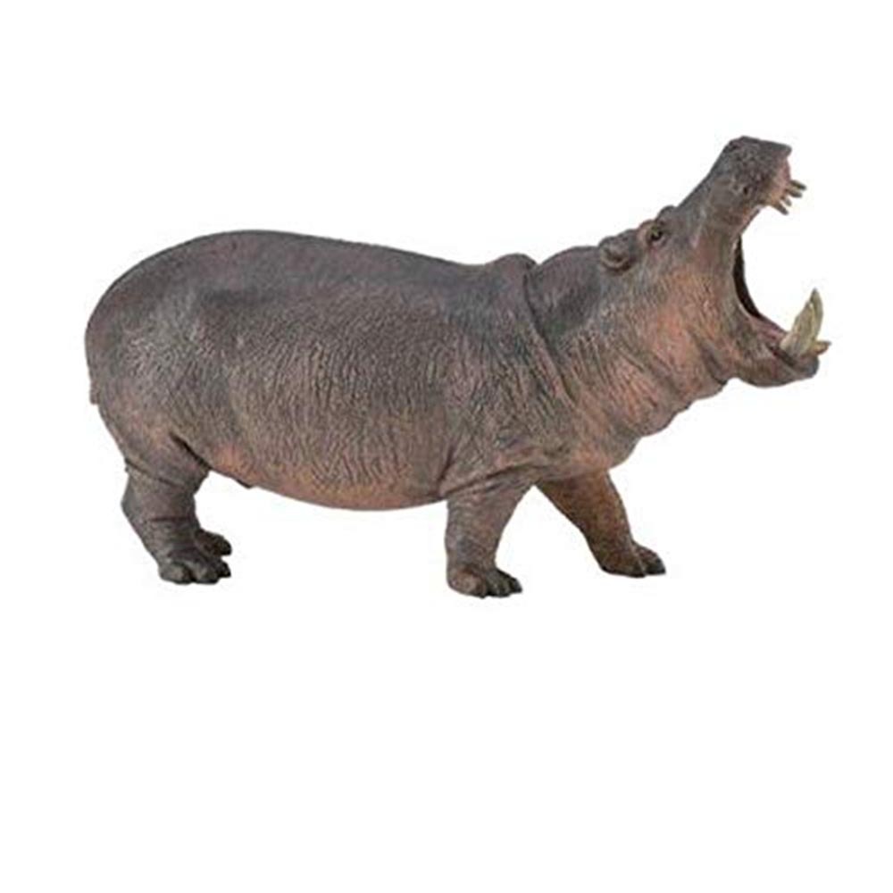 《 COLLECTA 》河馬