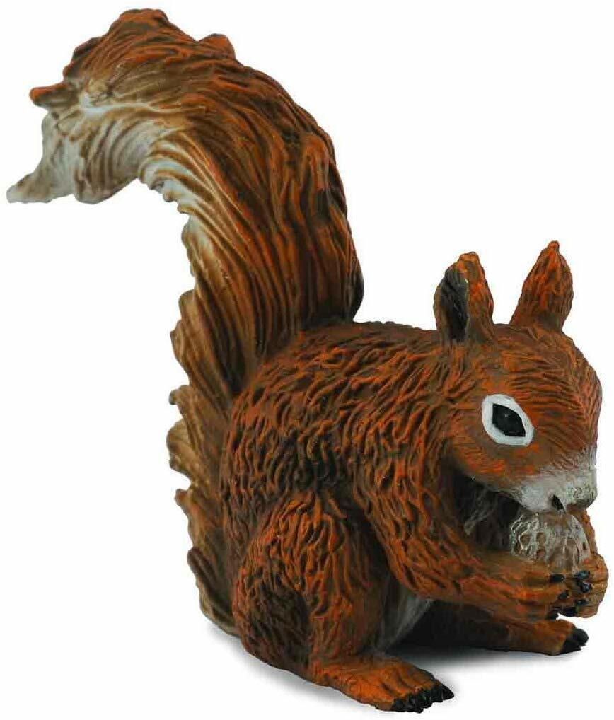 《 COLLECTA 》松鼠