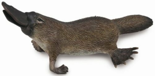 《 COLLECTA 》鴨嘴獸