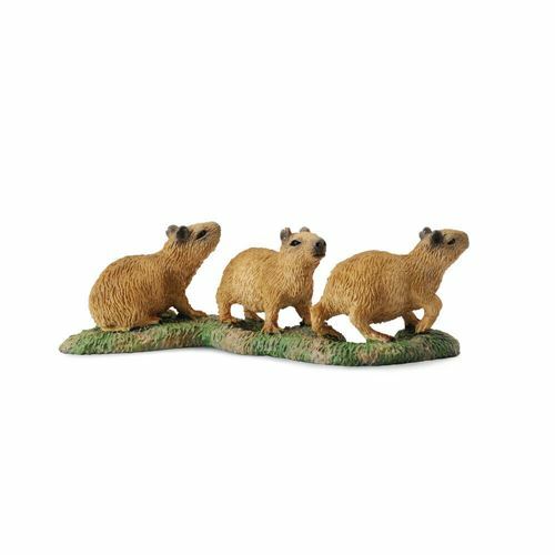 《 COLLECTA 》幼水豚