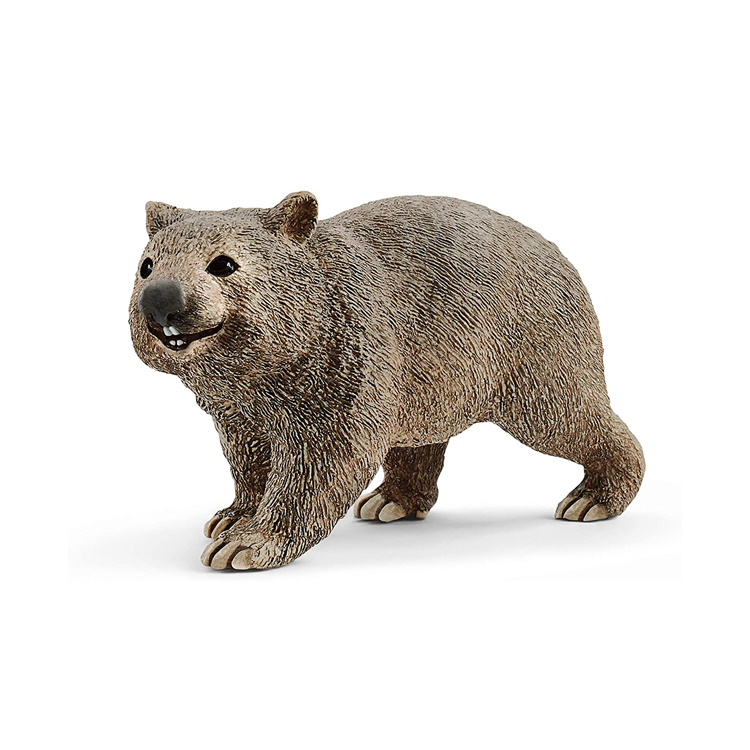 Wombat, SC14834