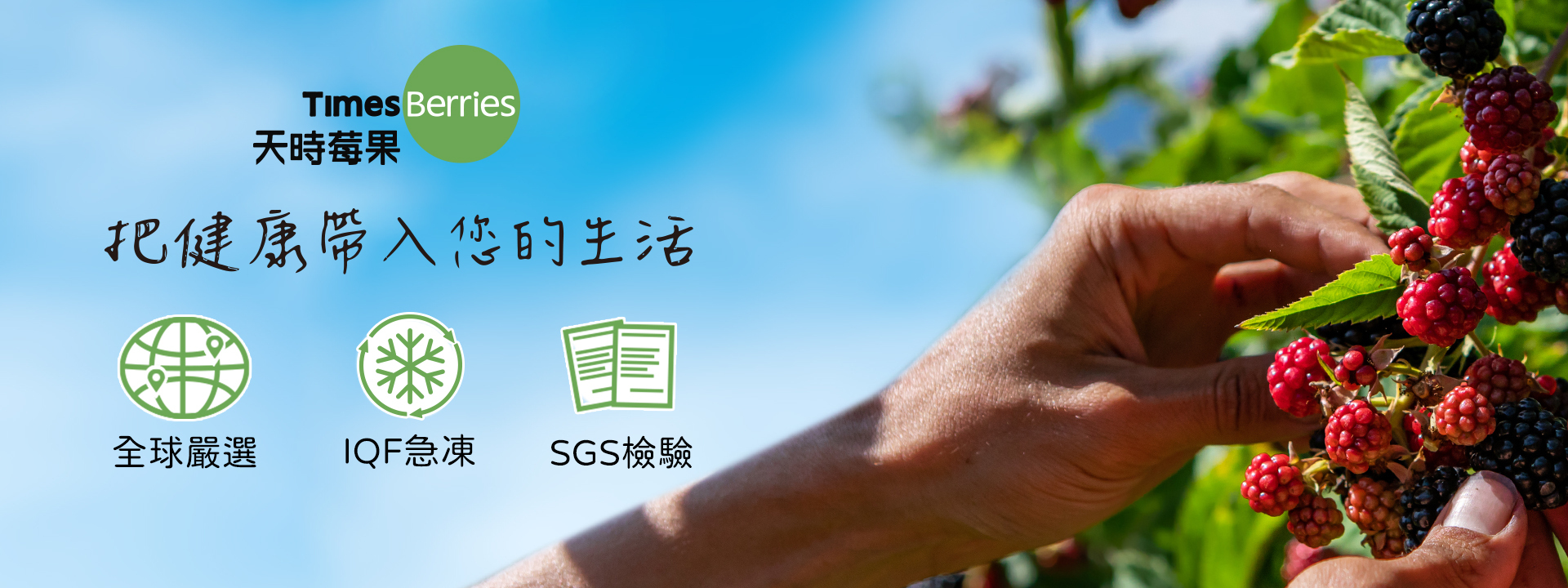 關於天時莓果 ∣ 天時莓果