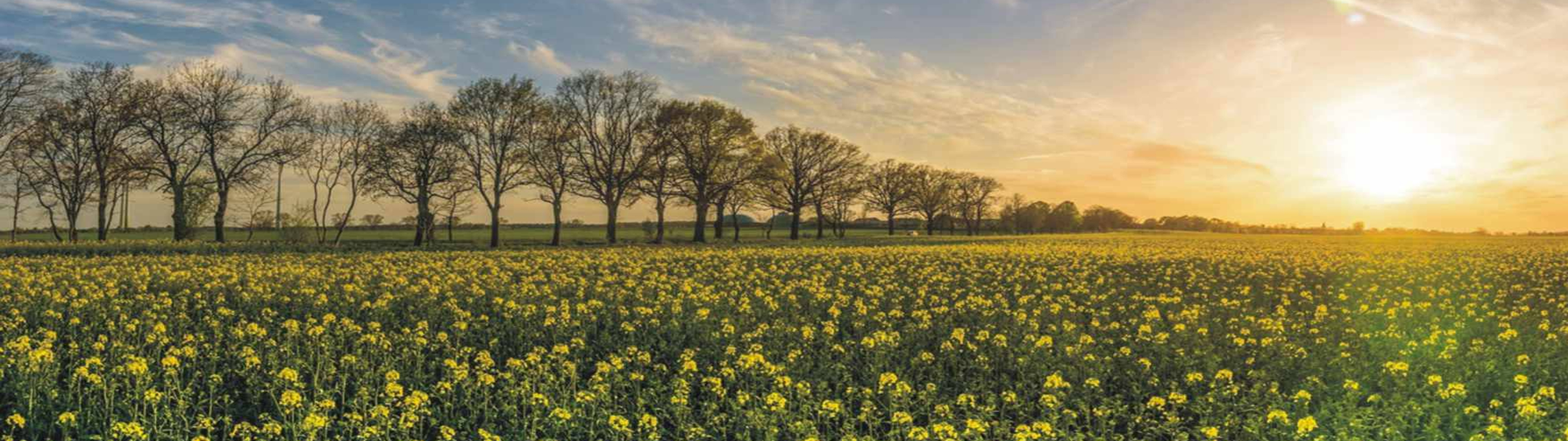 線上 購物,蜂王 乳,花粉,蜂王 乳 功效,蜂王 乳 芝麻 明 e,蜂膠 滴 劑 怎麼 吃,蜂膠 液 ,蜂王 乳 是 什麼,蜂王 乳 禁忌,蜂王 乳 男人 可以 吃 嗎,蜂王 乳 英文,花蜜 ,四 合 一,蜂王 乳 推薦,蜂王 乳 功效 女性