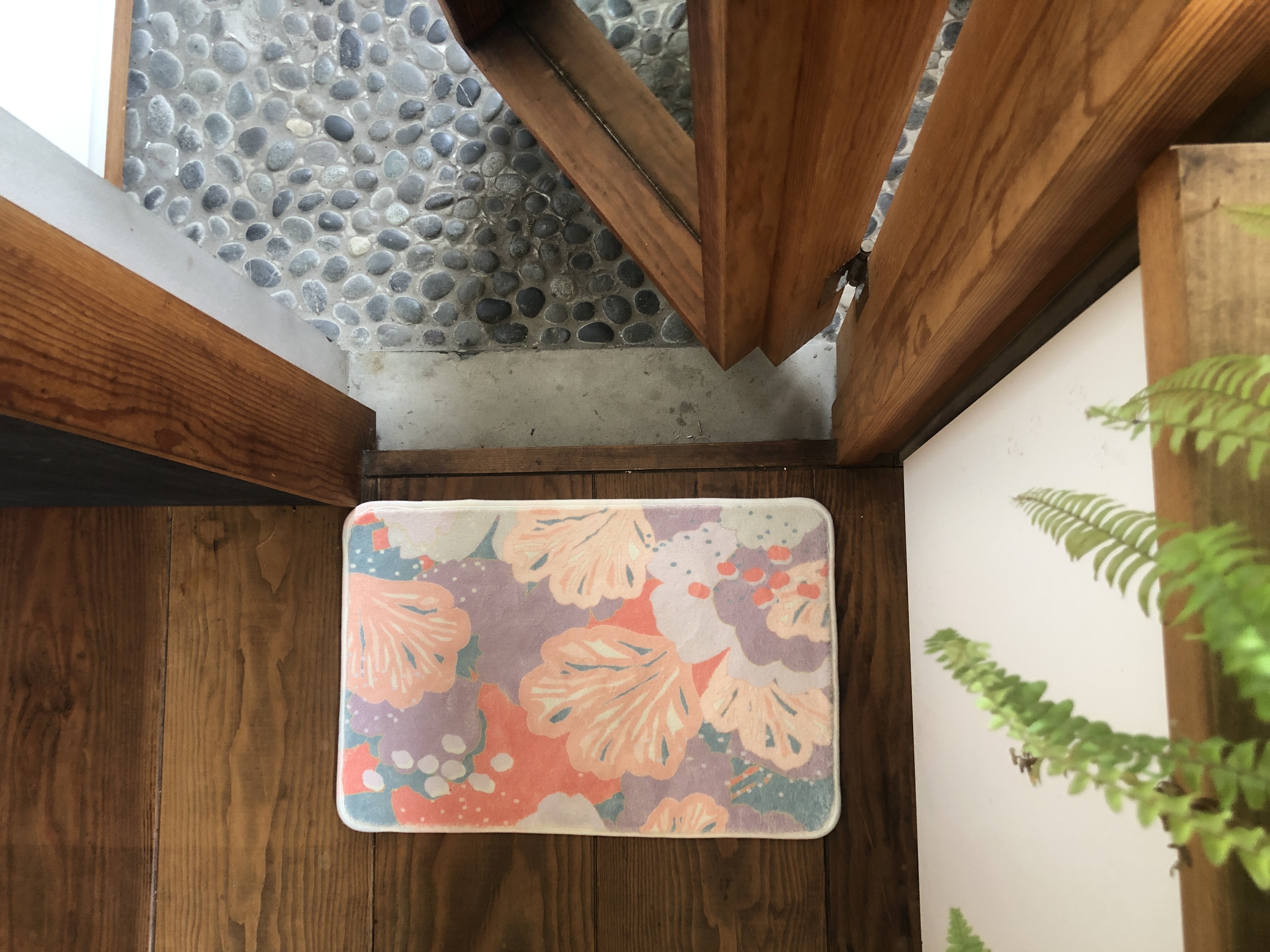 台灣 只有蕨｜蕨地絨感踏墊2.0