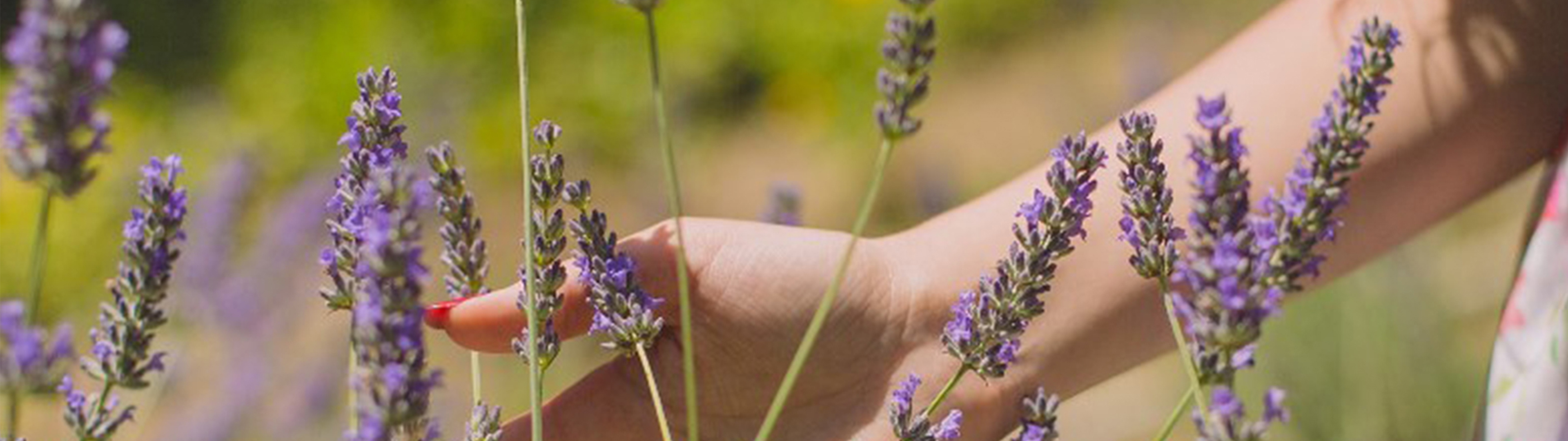 手 膜,手 部 保養,乳油 木 果,香水 護 手 霜,護 手 油,乳油 木 密集 修 護 手 膜 霜,保濕 護 手 霜,法國 護 手 霜,手 部 去 角質 推薦,手 乾燥 粗糙,護 手 乳,美白 護 手 霜 推薦,天然 護 手 霜,滋潤 護 手 霜