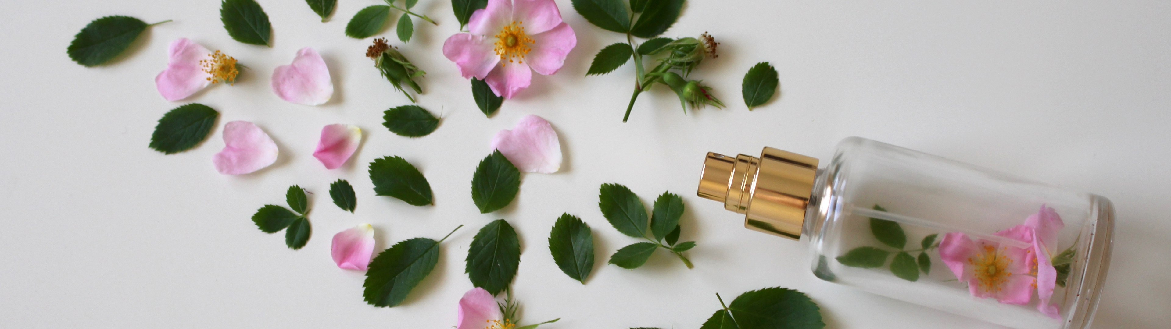 化妝 水,化妝 水 推薦,金盞花 化妝 水,精華 液,精華 液 推薦,乳液 推薦,身體 乳液 推薦,保濕 乳液,保濕 精華 液,保濕 噴霧,身體 乳,乳 霜,保濕 化妝 水,保濕 精華 液,臉 部 乳液,保濕 化妝 水 推薦