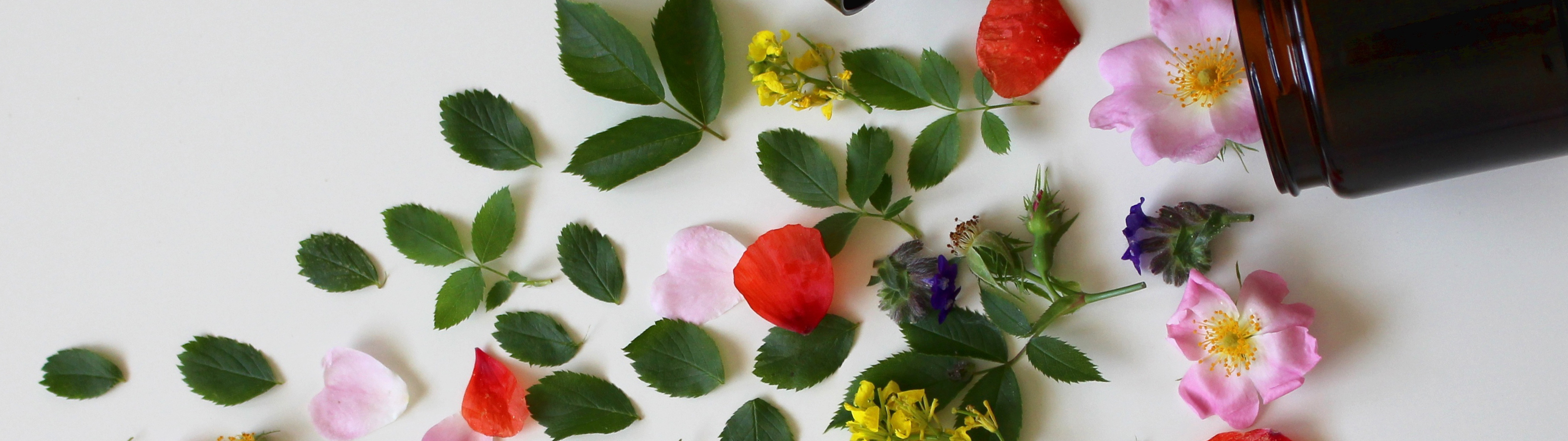 styx,護手霜,霜,推薦,乾燥,龜裂,馬鈴薯,天然,純淨,自然,綠,環保,保養,草本,無添加,腳,乳霜推薦,修護,腳,精華 油,復原,護理,霜,乳霜,乳霜 推薦,身體,龜裂,乾燥,草本,保養, 身體 乳 霜,身體 乳液 推薦