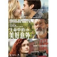 生命中的美好意外 (DVD)