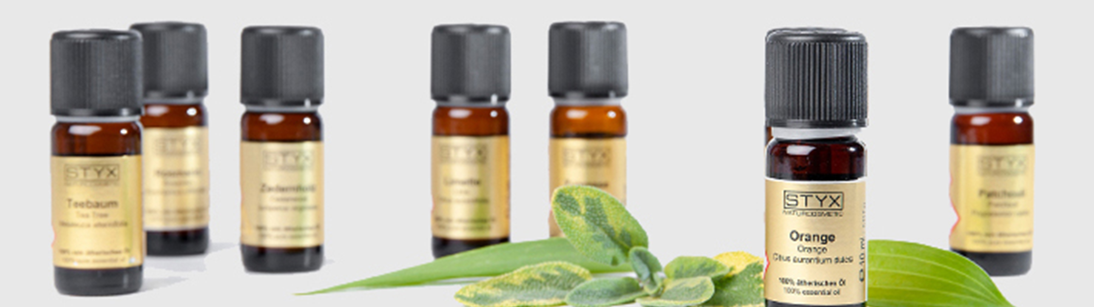 線上 購物,精油 推薦,精油 品牌,精油 功效,精油,精油 用法,茶樹 精油,薰衣草 精油,迷 迭 香 精油,快樂 鼠 尾 草,芳 療,迷 迭 香 精油 功效,芳香 療法