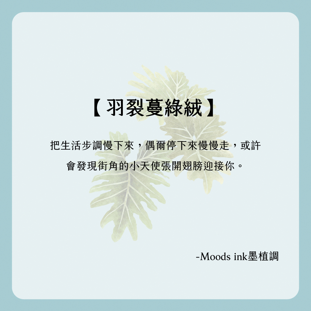 【Knocky x 墨植調】『羽裂蔓綠絨』iPad 平板保護殼 (三折式/硬底軟邊/右側筆槽)