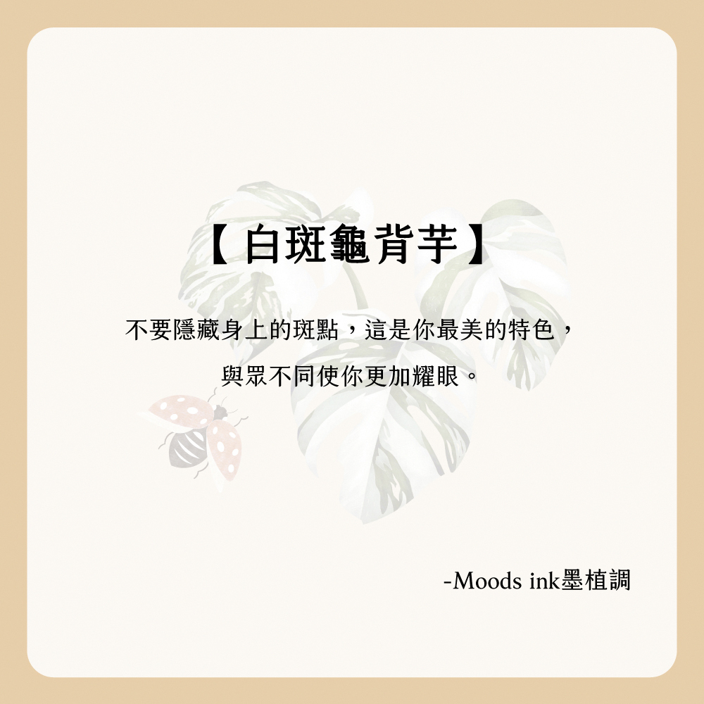 【Knocky x 墨植調】『白斑龜背芋』iPad 平板保護殼 (三折式/硬底軟邊/右側筆槽)