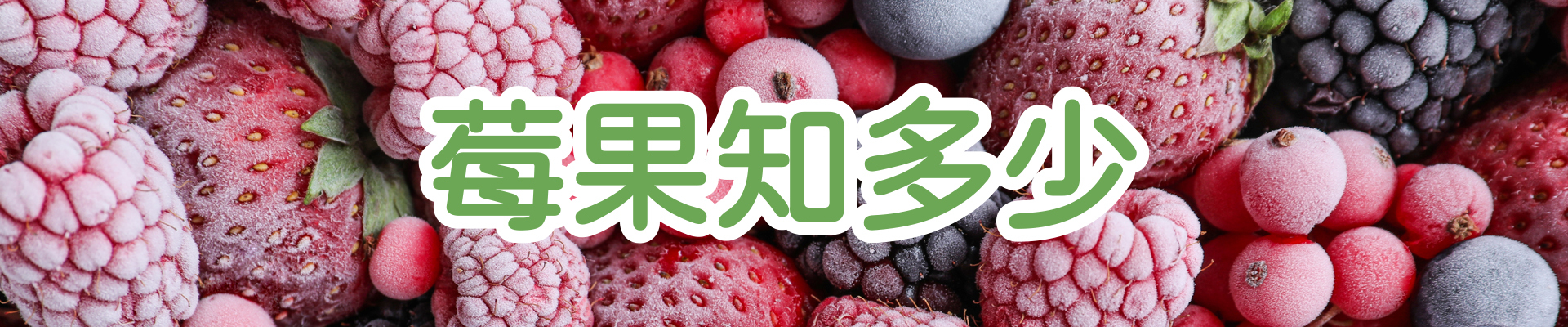 莓果知多少 認識莓果 ∣ 天時莓果