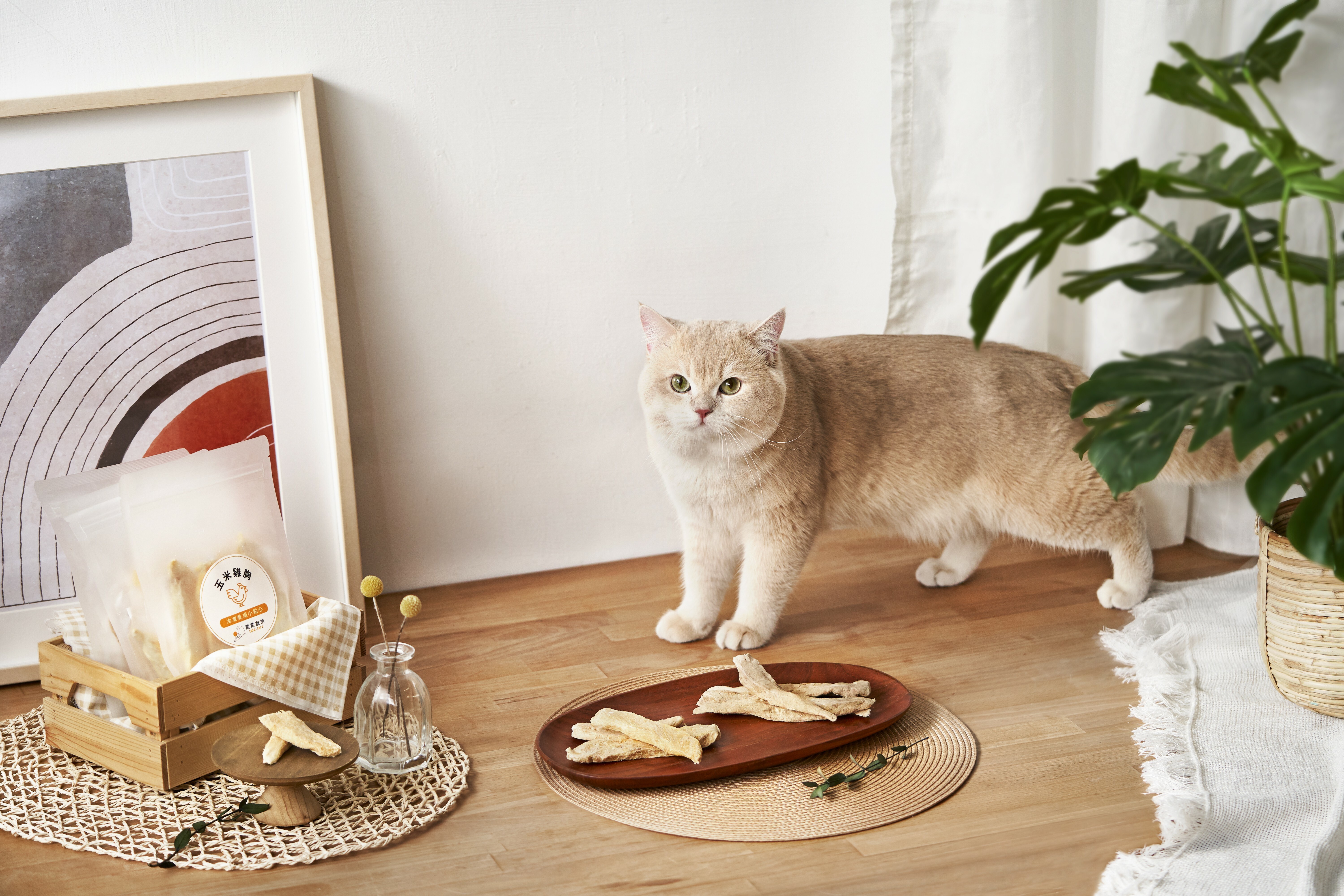 踏踏寵膳-冷凍乾燥櫻桃鴨胸40g