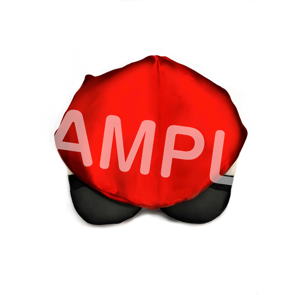 「ACG.GO」「預購」碧藍航線5周年紀念 #6大鳳頸枕