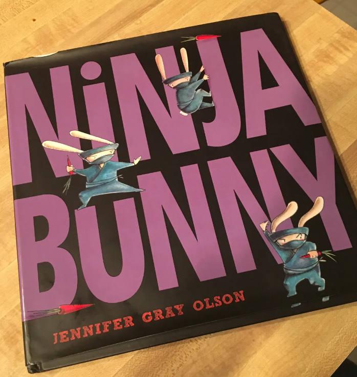 CS Ninja Bunny Hardcover