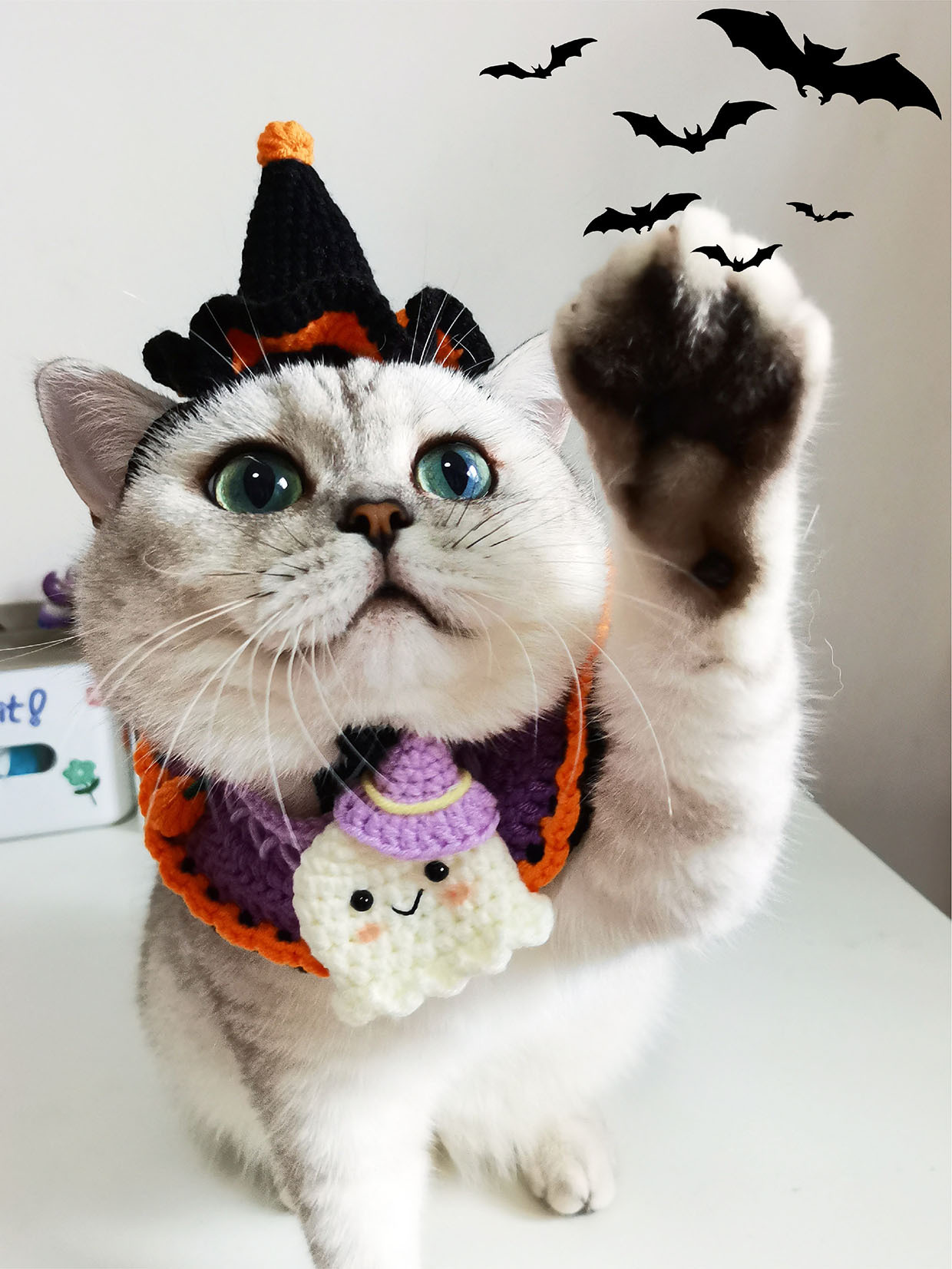 萬聖節小鬼套裝