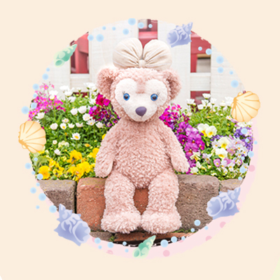 日本Shellimay精品