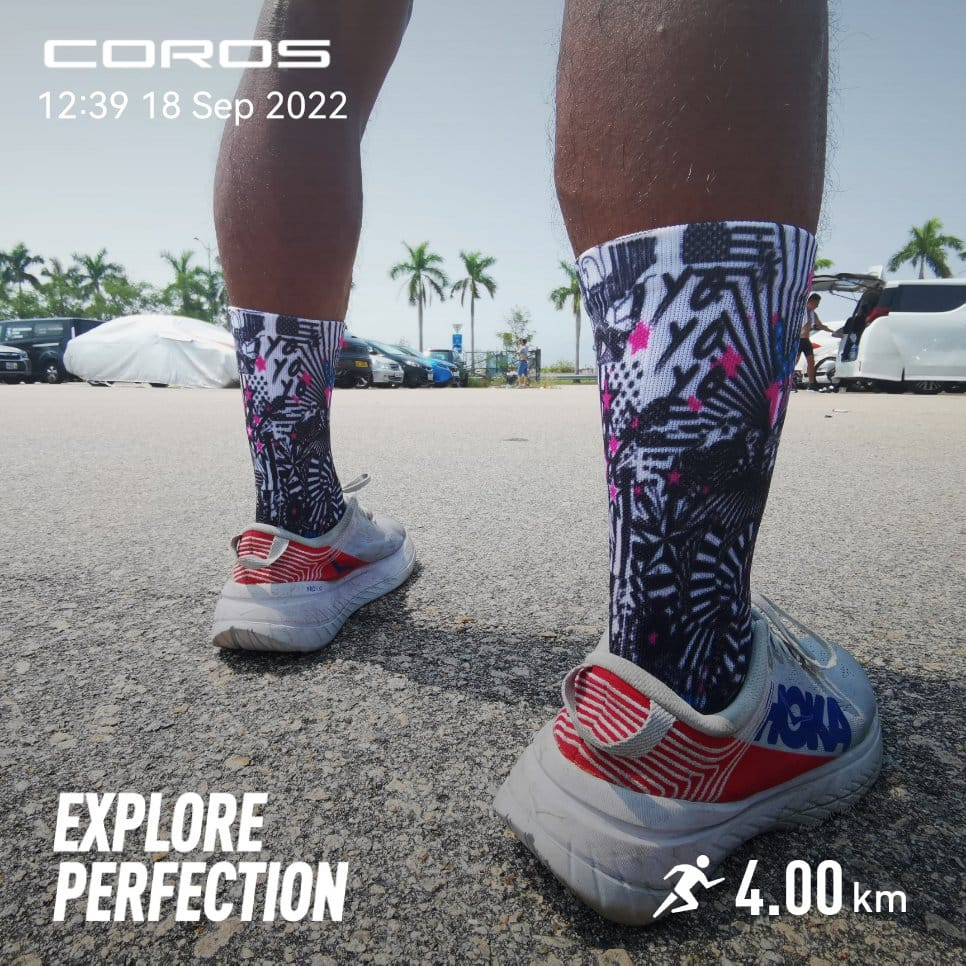 Zoot 6inch sock American Rebel