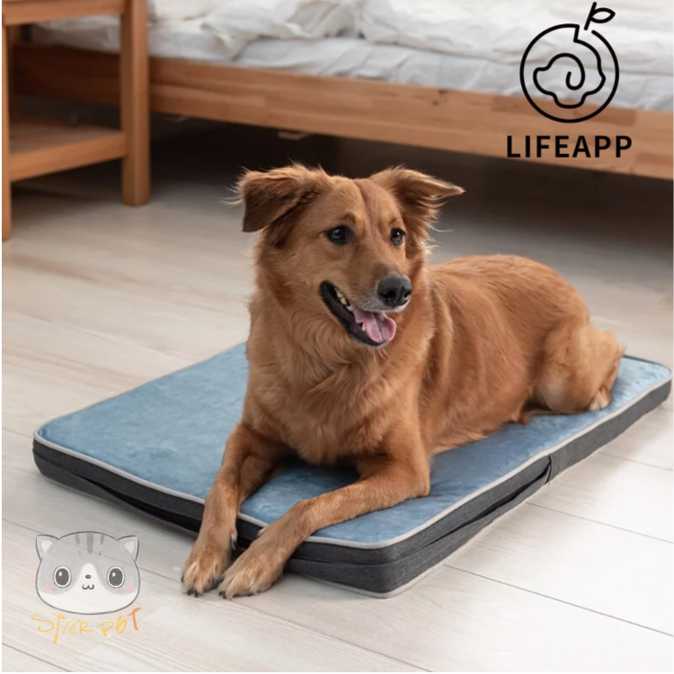 Lifeapp Classic Bed Grey & Blue
