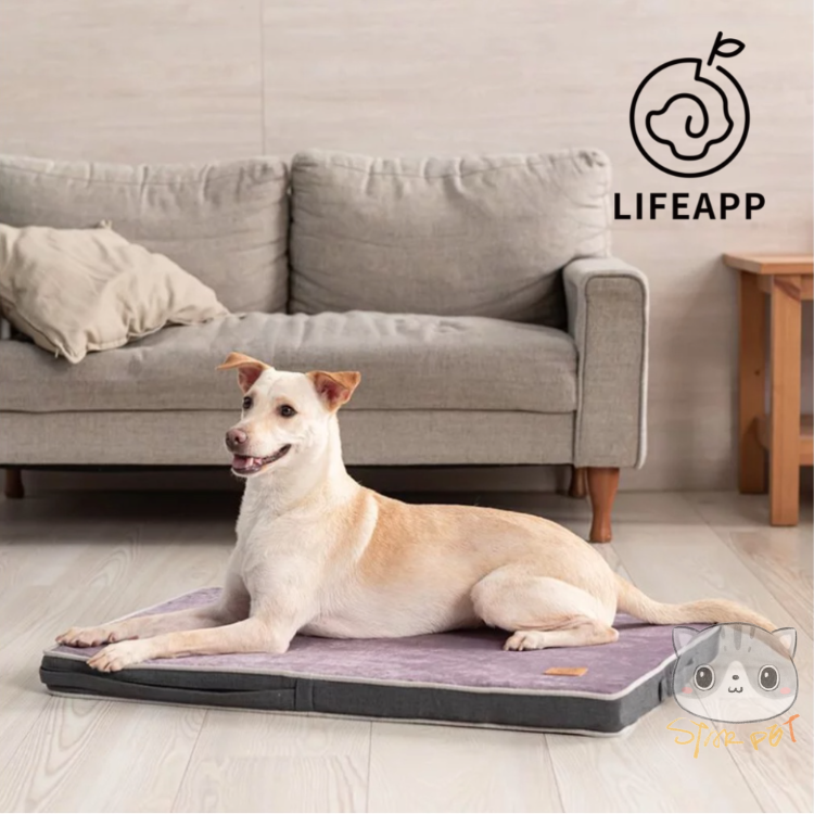 Lifeapp Classic Bed Grey &Purple