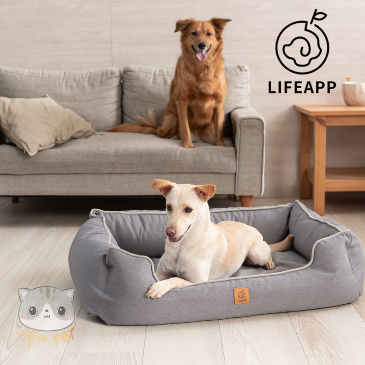 Lifeapp Luxury Bed Grey