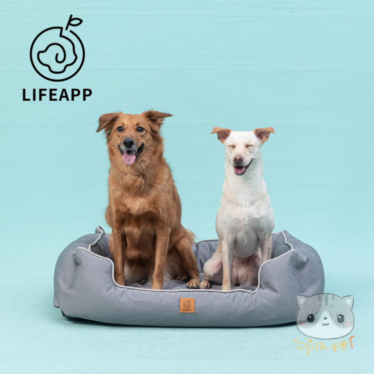 Lifeapp Luxury Bed Grey