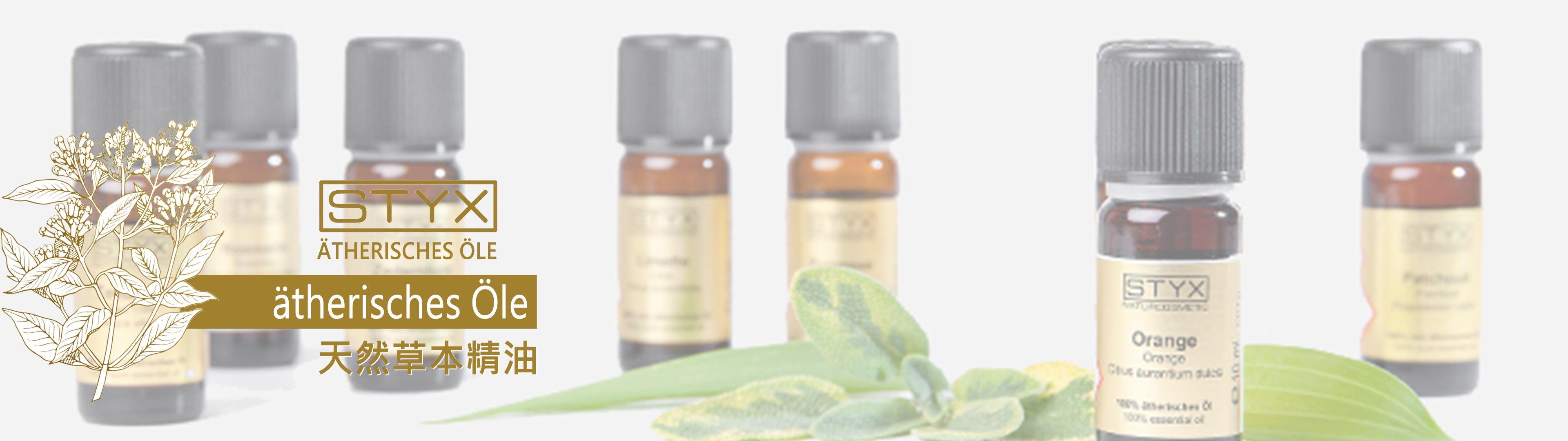 線上 購物,精油 推薦,精油 品牌,精油 功效,精油,精油 用法,茶樹 精油,薰衣草 精油,迷 迭 香 精油,快樂 鼠 尾 草,芳 療,迷 迭 香 精油 功效,芳香 療法,線上 購物,styx,天然,純淨,自然,綠,環保,保養,草本,無添加,