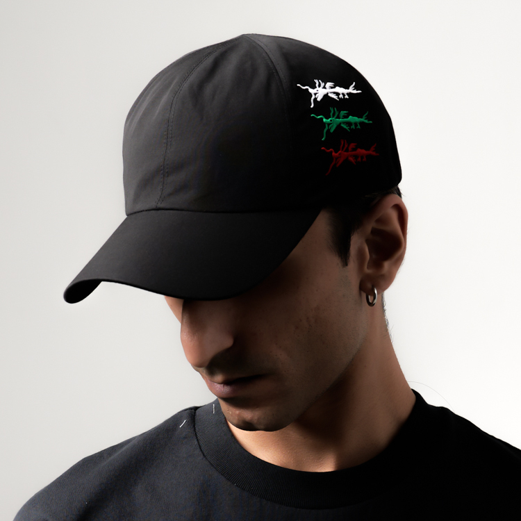 Embroidered NFM Neither fish nor fowl logo Cap (Black)
