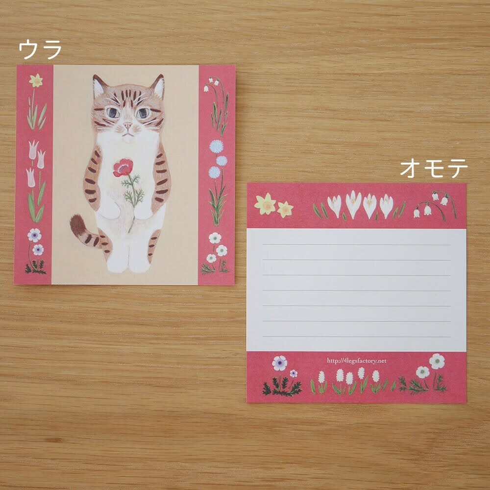 棕虎斑 插畫便條紙 50枚｜日本 4legs