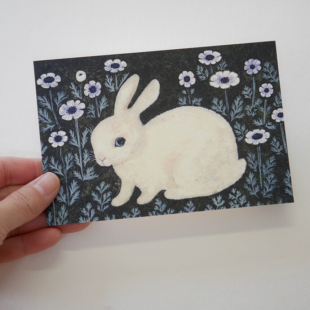 兔子 插畫明信片｜日本 4legs