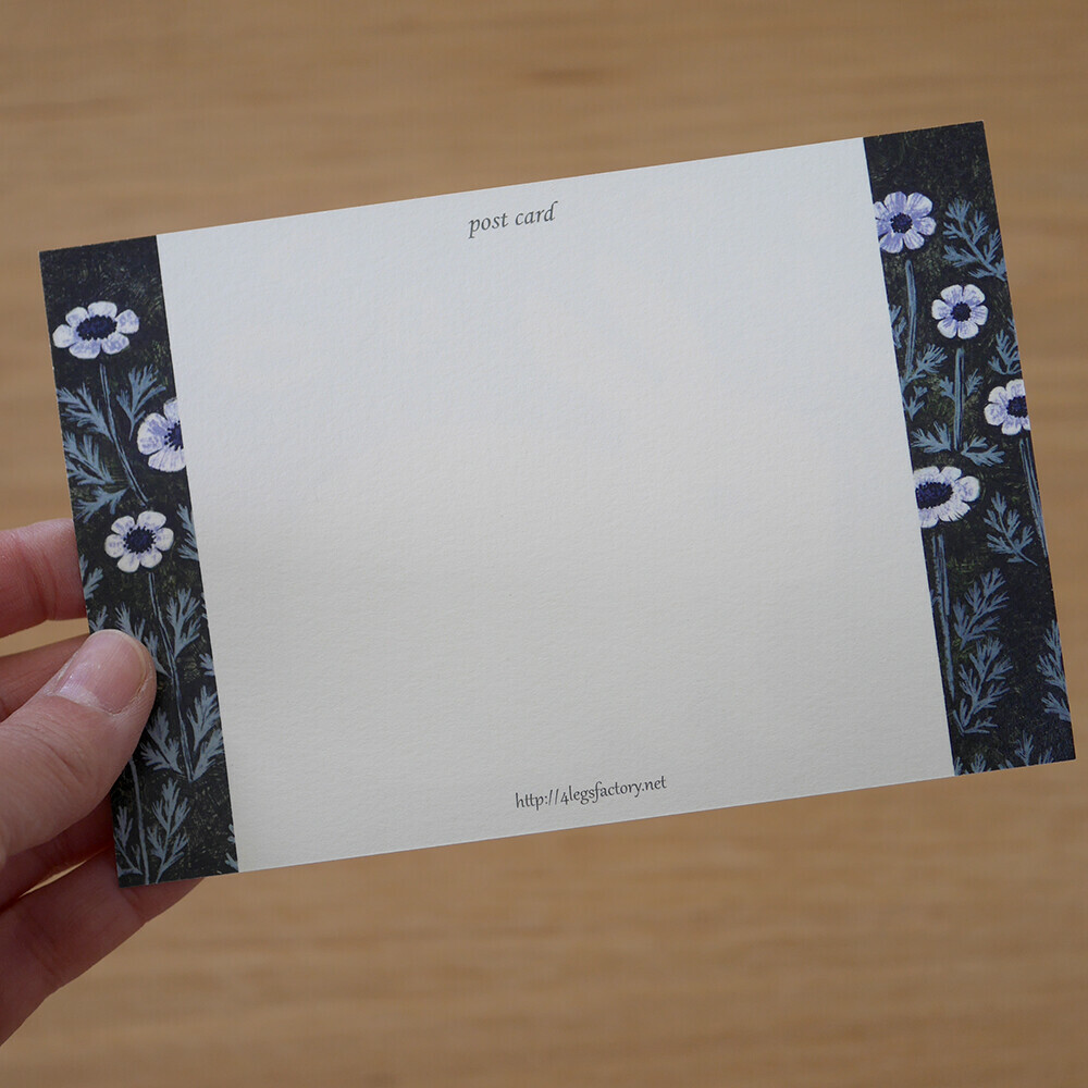 兔子 插畫明信片｜日本 4legs