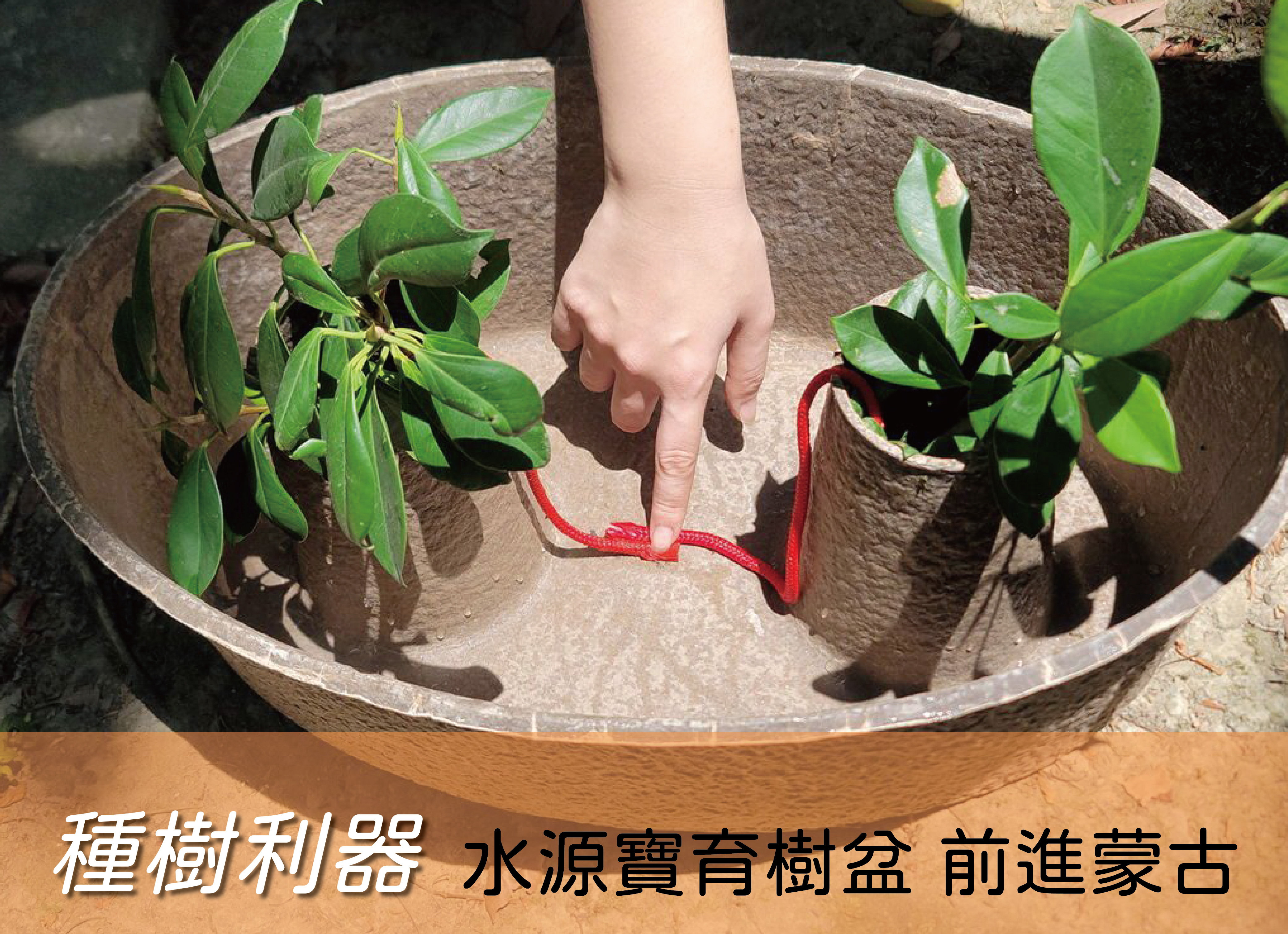 水源寶育樹盆前進蒙古