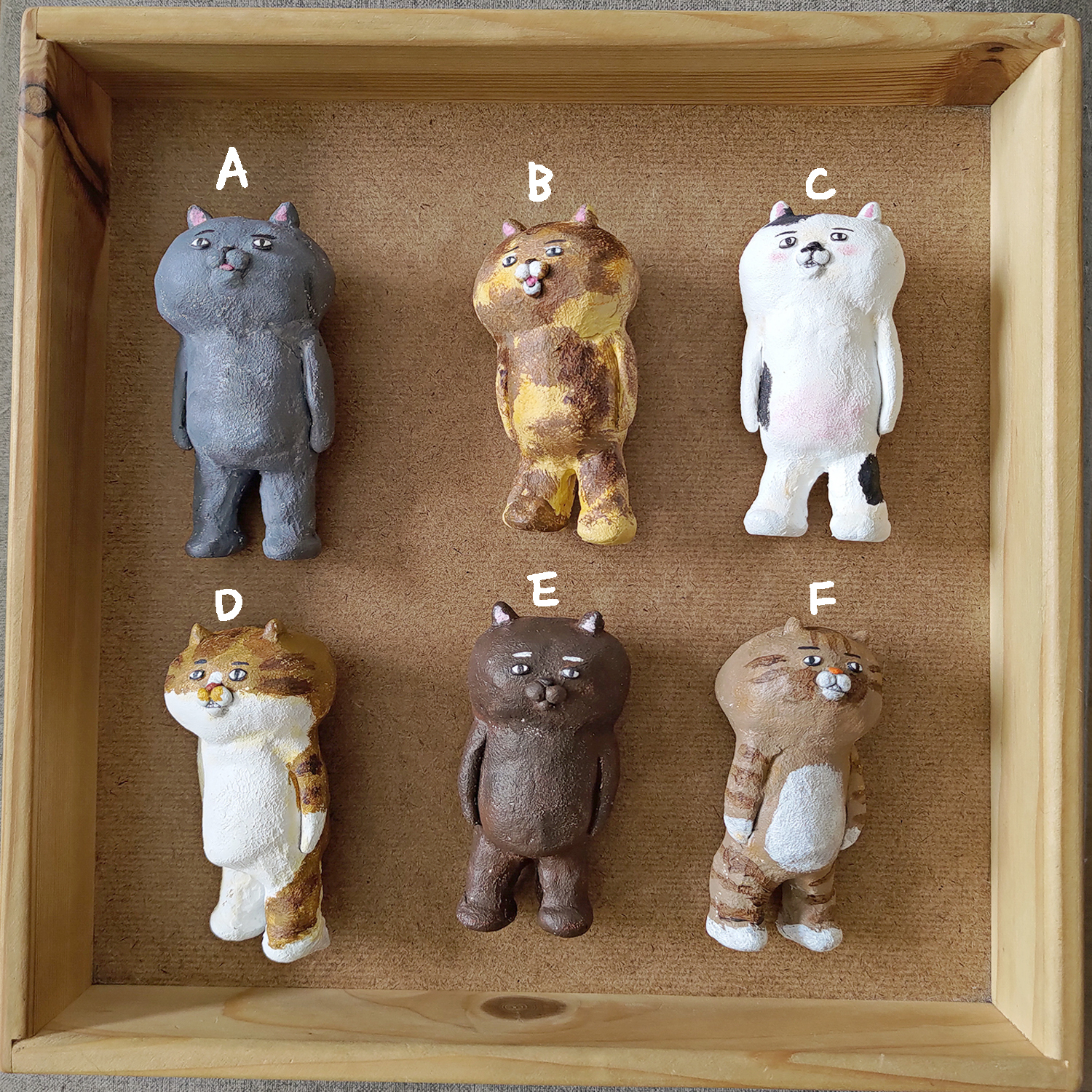 【ehcat貓室友】路邊野貓黨 (04)