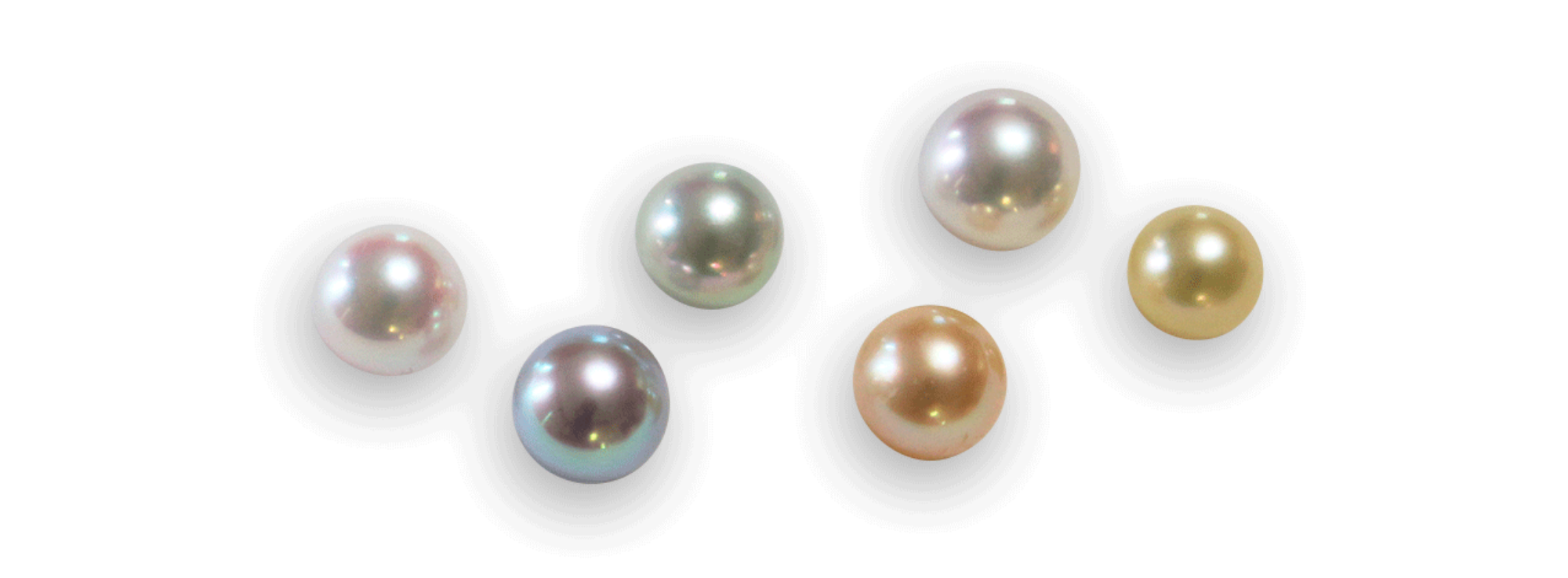 About Akoya Pearl