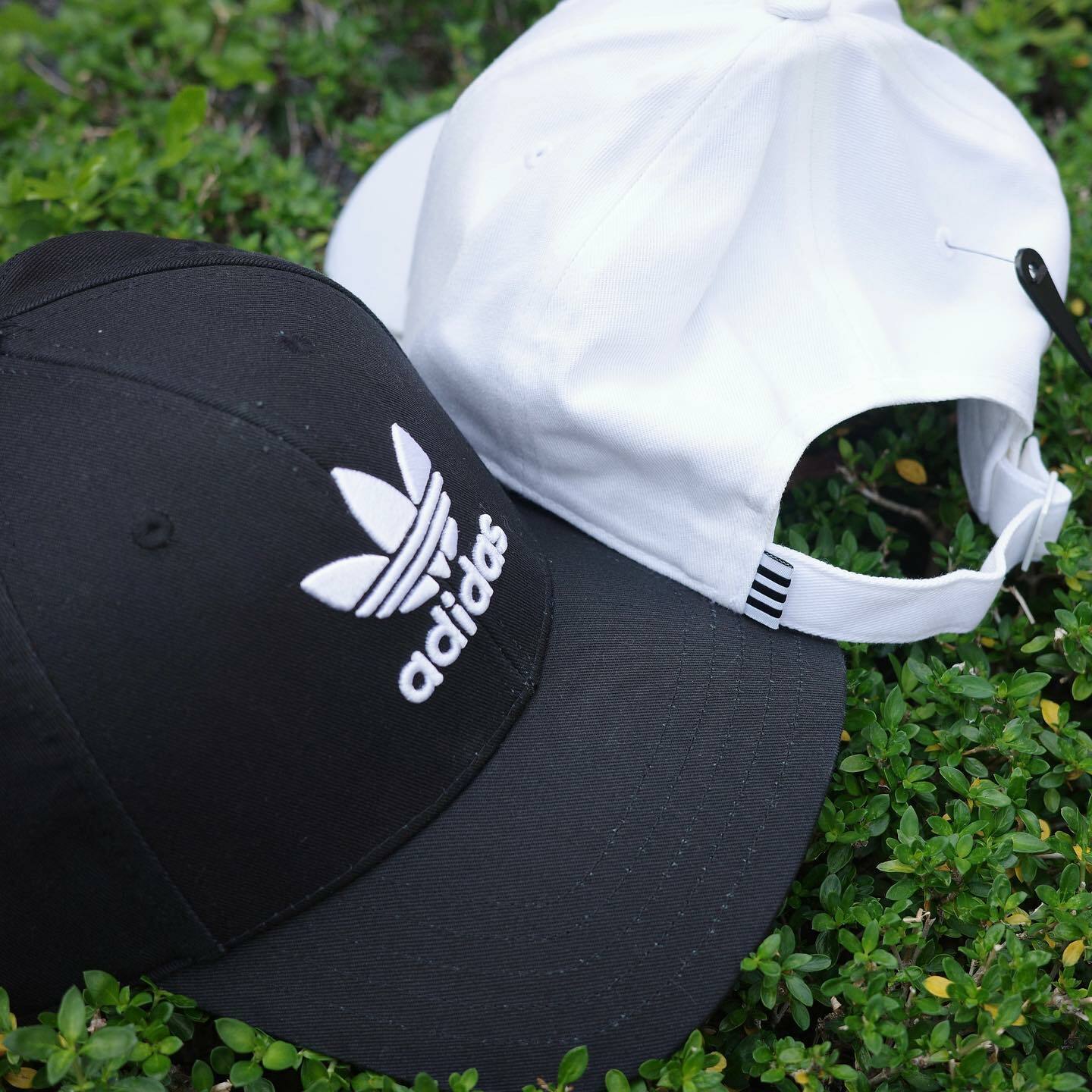 Adidas 立體刺繡三葉草 老帽 2色 現貨到