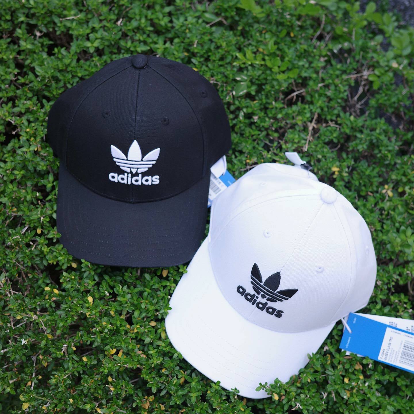 Adidas 立體刺繡三葉草 老帽 2色 現貨到