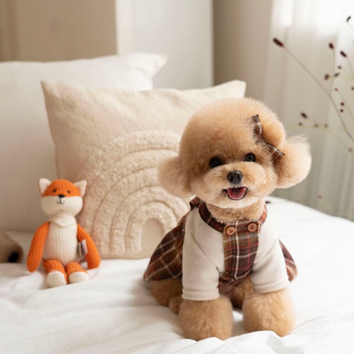 OPAAAP 羊毛蘇格蘭背心裙