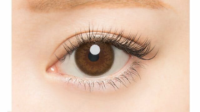 AngelColor Bambi Series 1 Day Natural Brown 每日拋棄型有色彩妝隱形眼鏡｜每盒20片