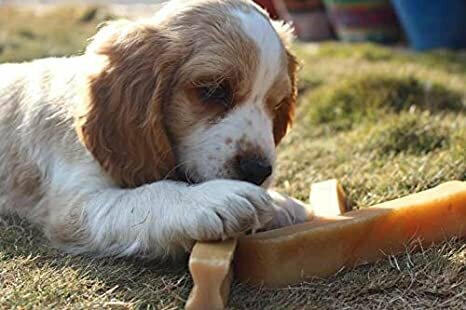 Tibetan - 喜馬拉雅芝士骨棒 潔齒骨 1條裝 (適合35 磅以下狗狗)