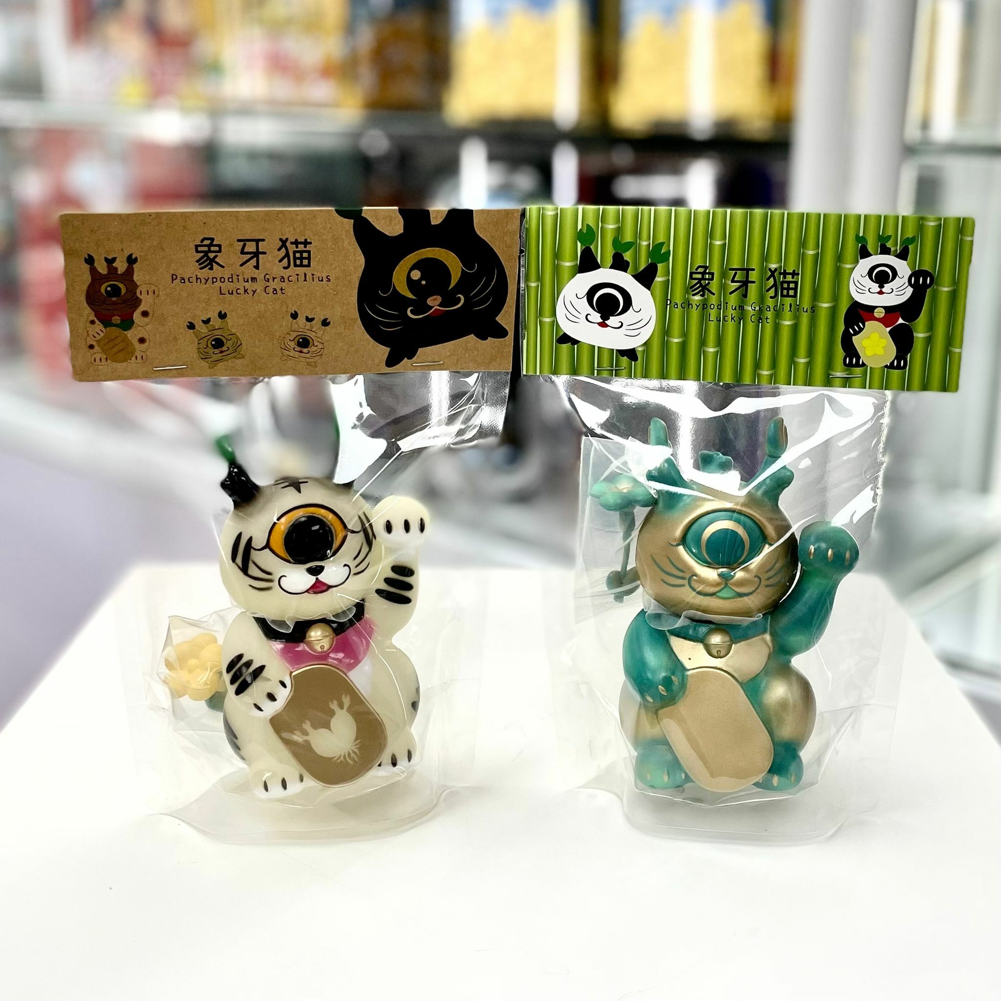 Pachypodium Gracilius Lucky Cat (Glow in the Dark Year of Tiger/Patina Tiger)