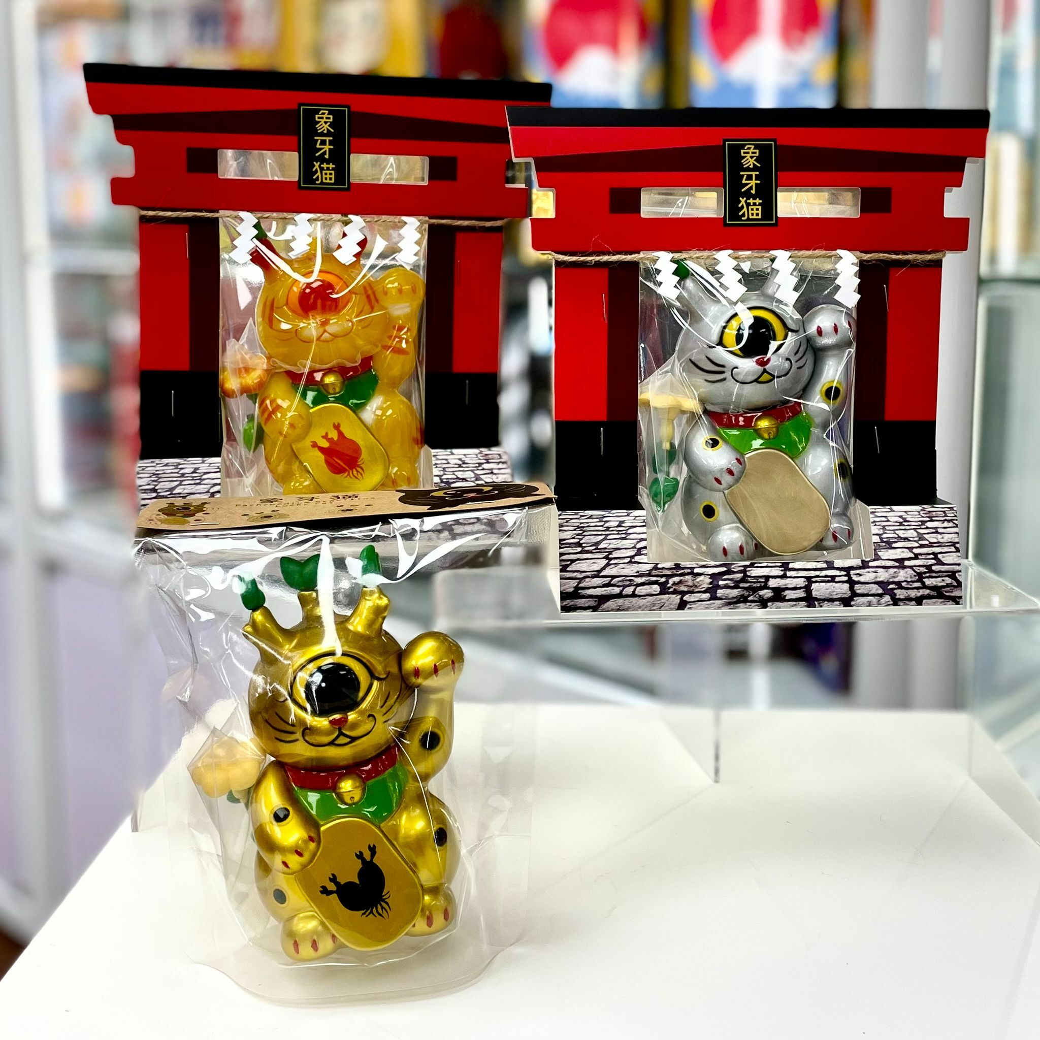 Pachypodium Gracilius Lucky Cat (Silver / Gold / (Orange Year of Tiger / Glow)