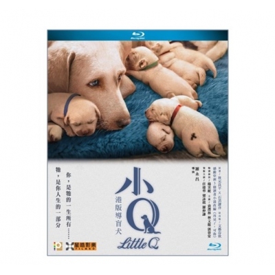 小Q (BD)