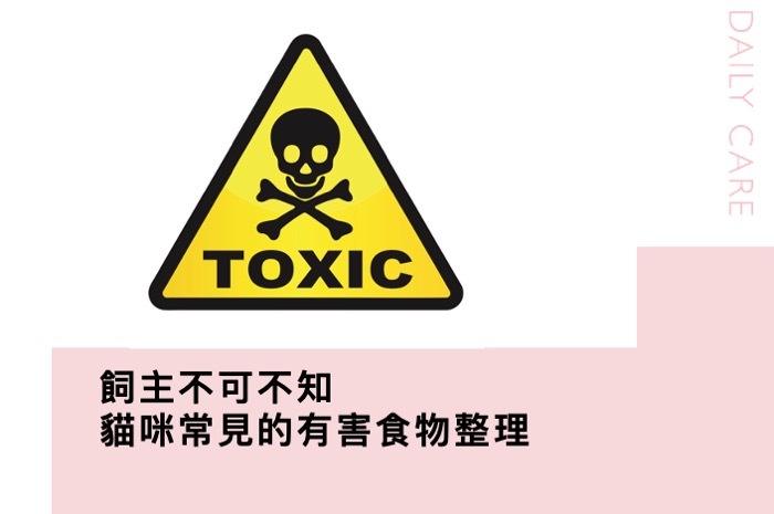 貓咪有害食物整理