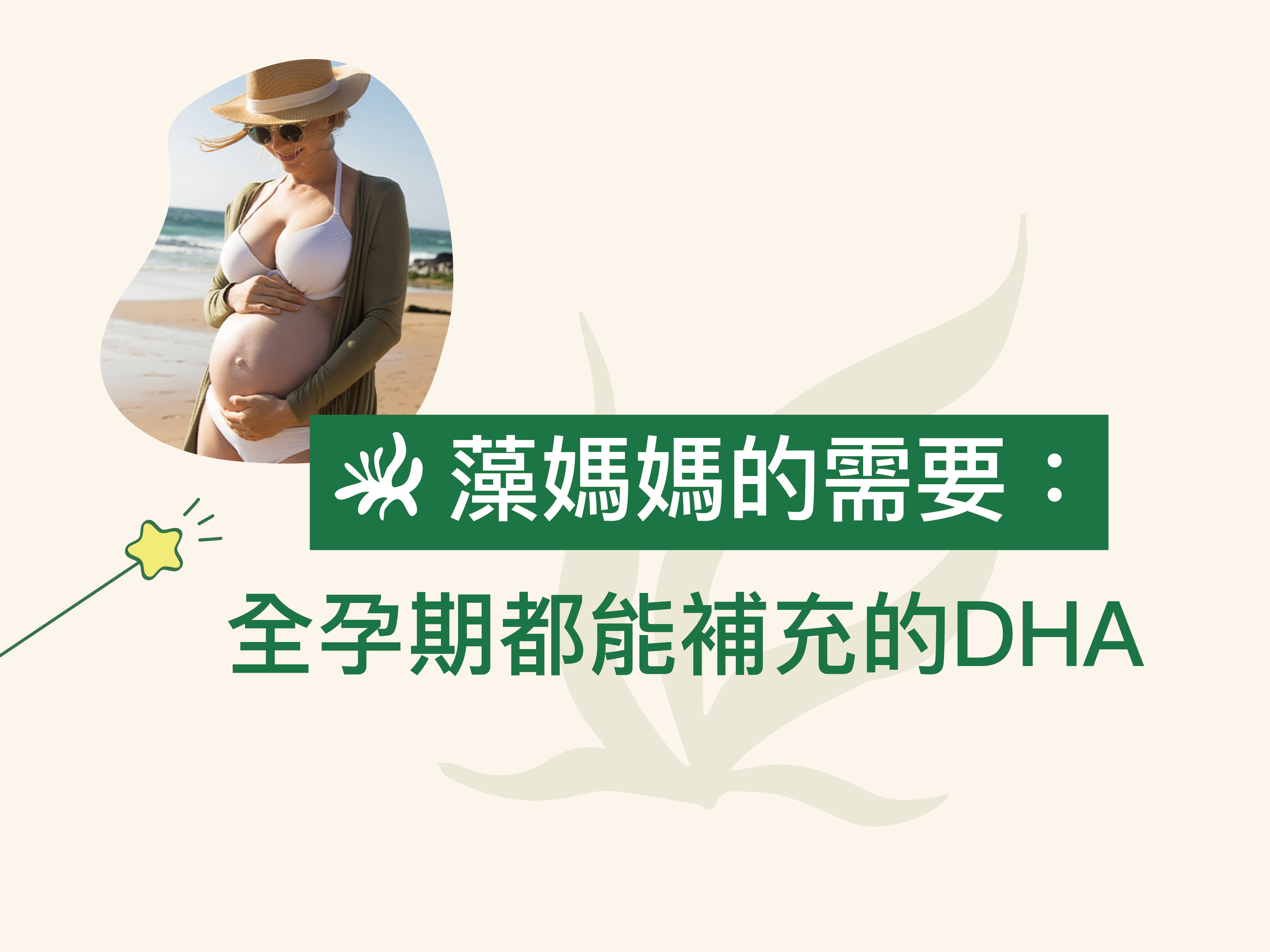 藻油ＤＨＡ是全孕期都可以補充的營養