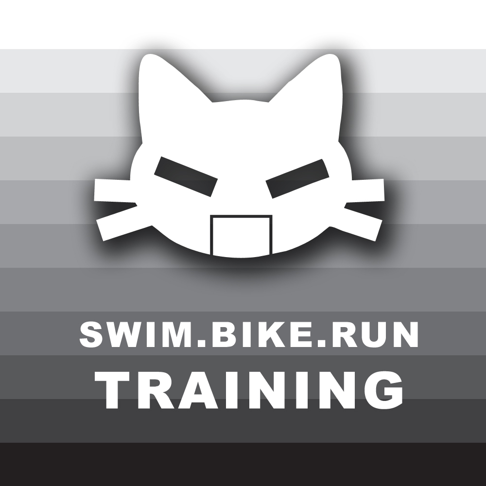 Dashing Training 2024/10-2024/11